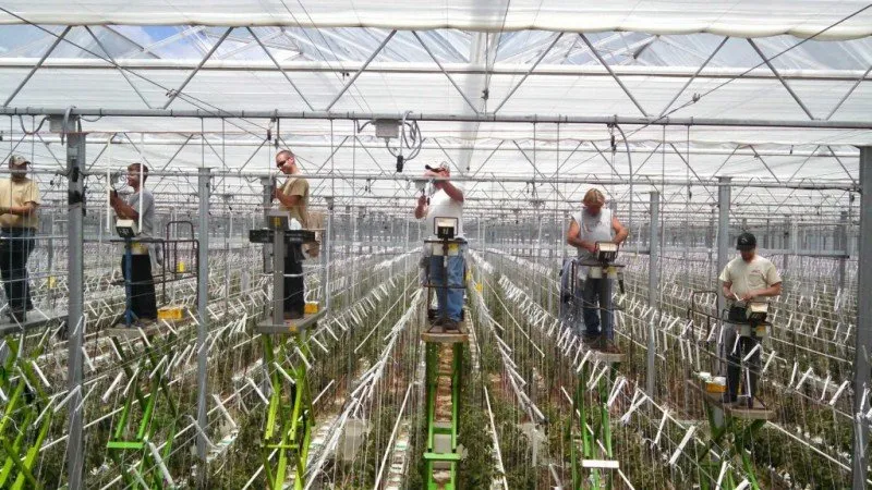 Slide of Cedar Lake Electric