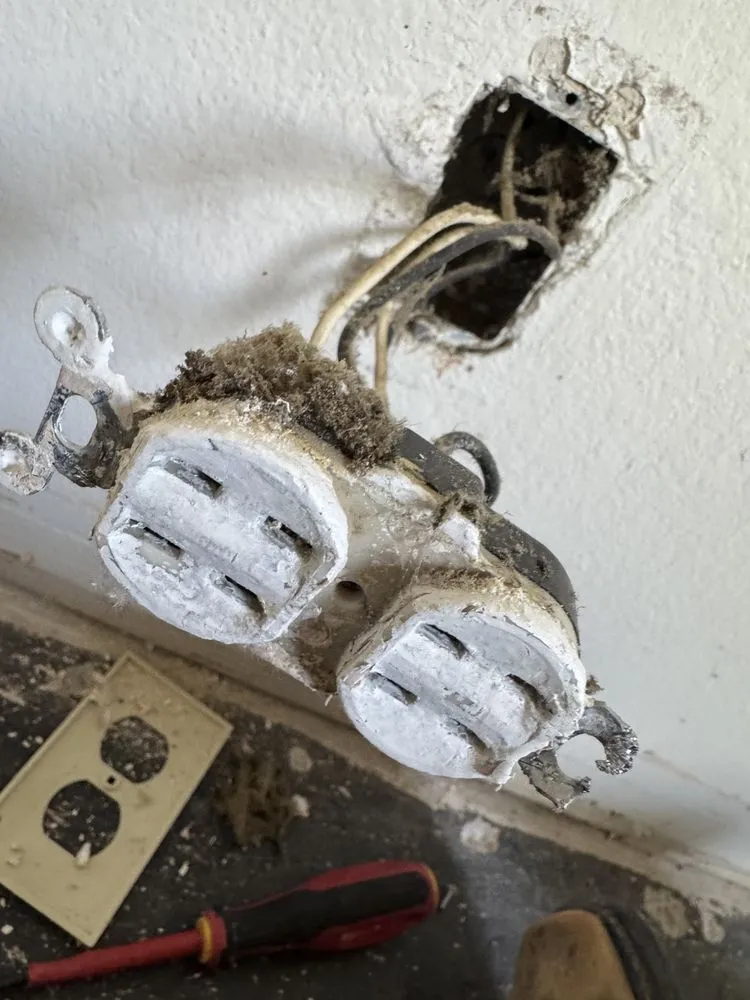 Slide of Central Coast Sparky Electric