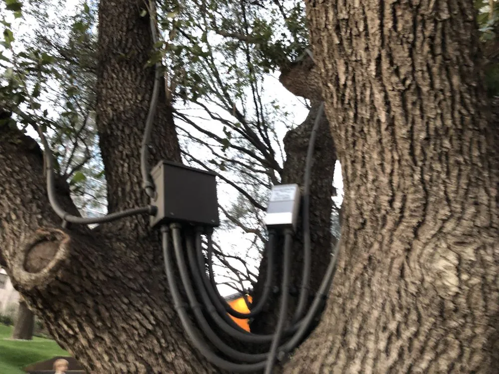 Slide of Central Texas Electric