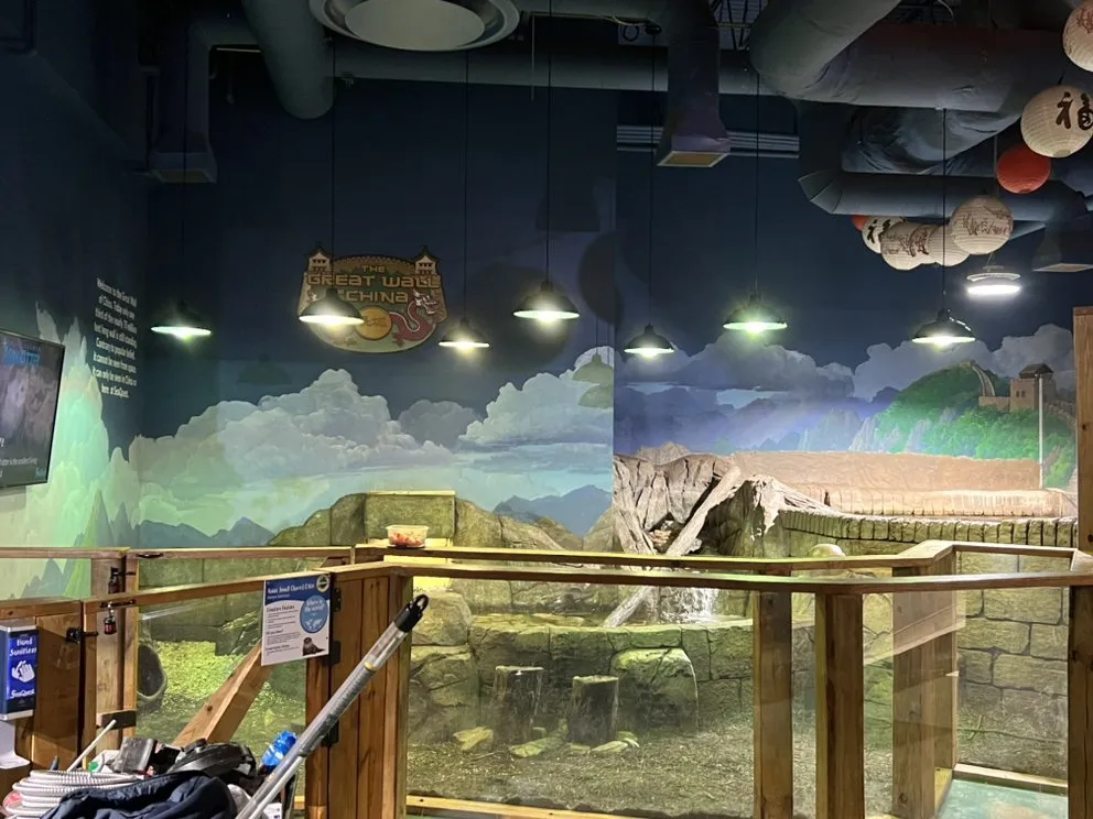 Reliable wiring installation in ,  by Central Virginia Electrical Services