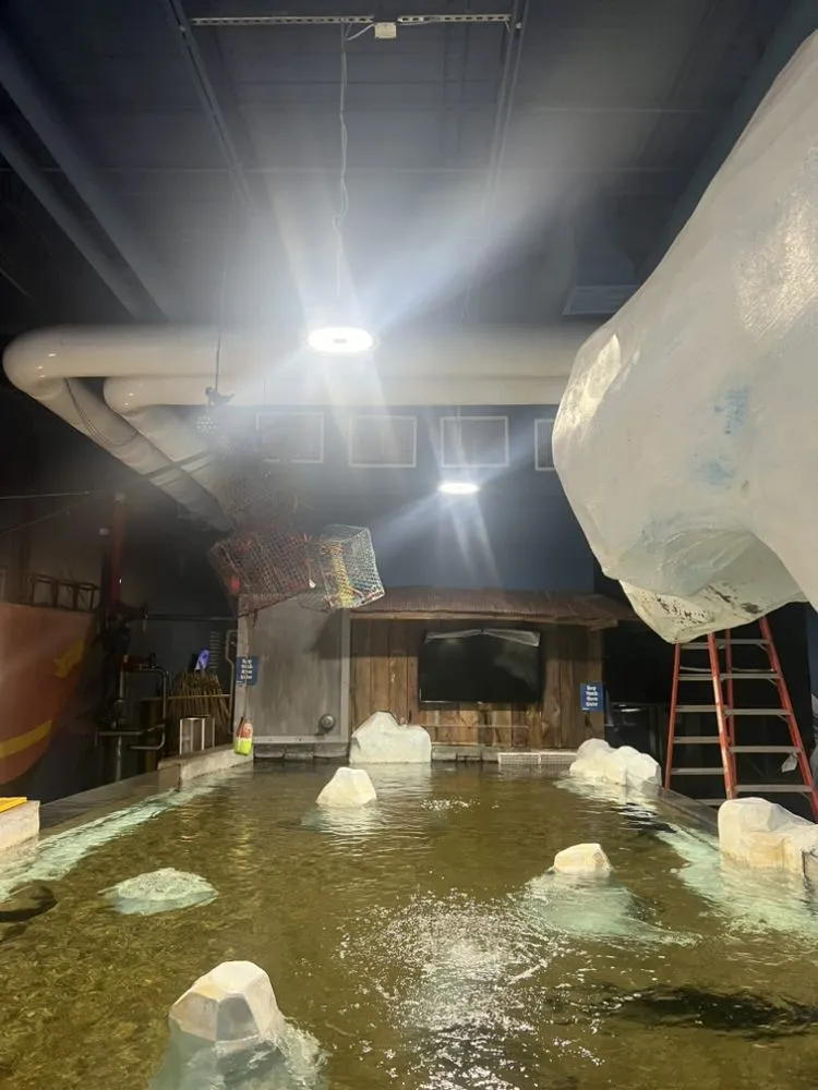 Emergency outlet and switch repair experts serving ,  - Central Virginia Electrical Services