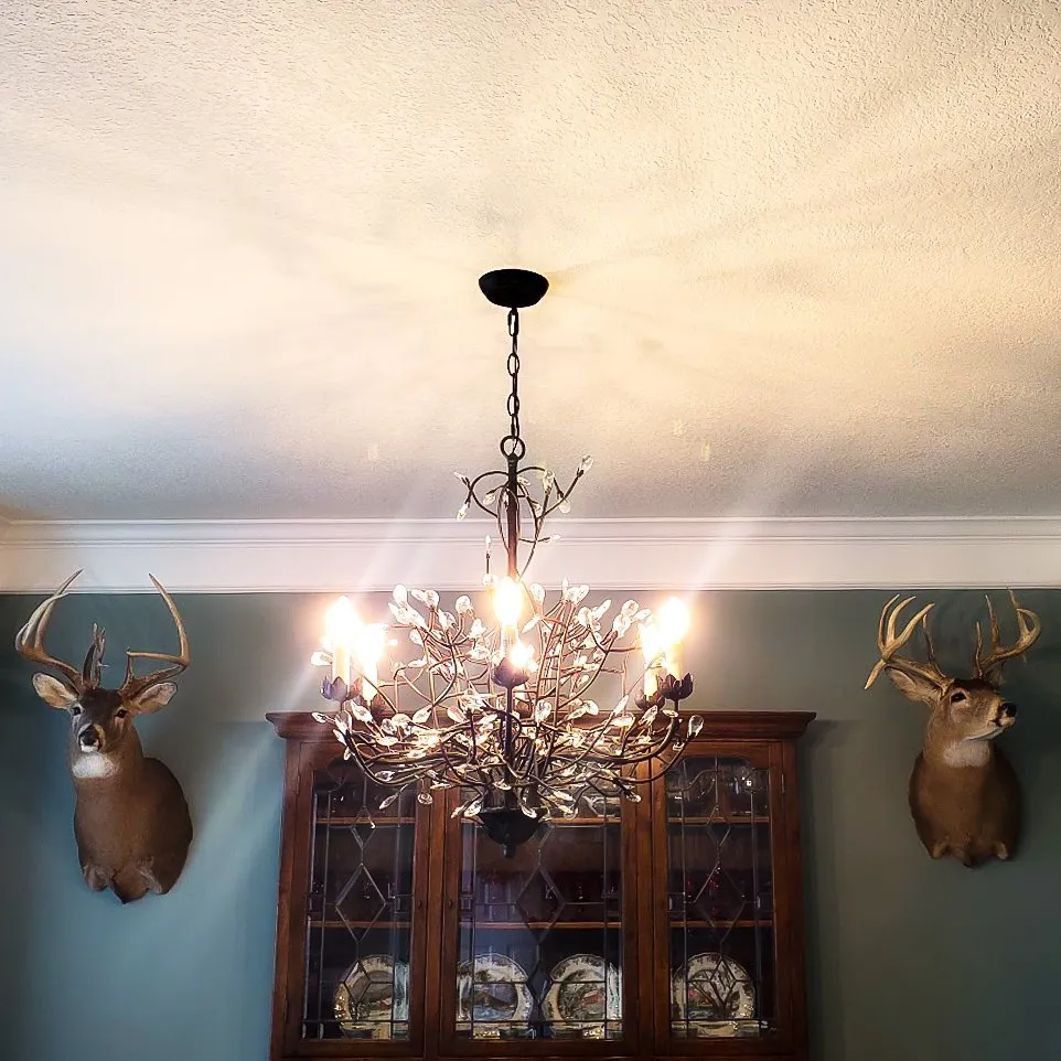 Slide of Cerda Electric