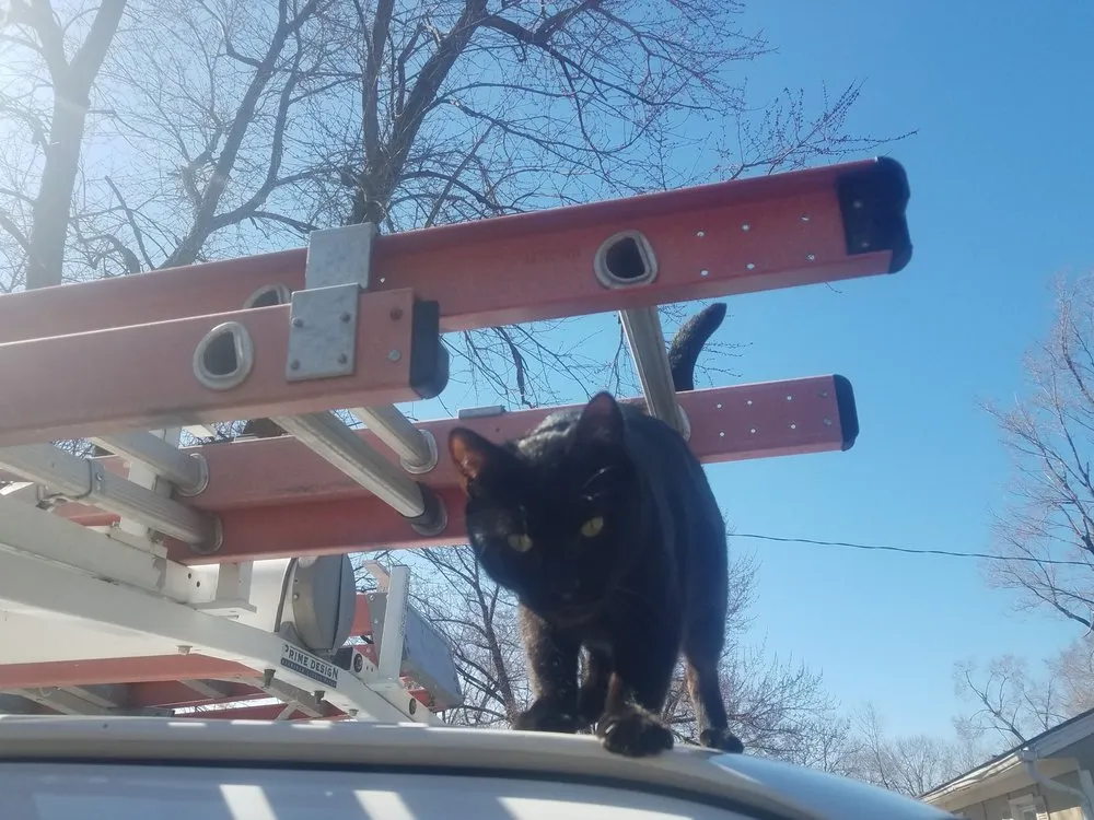 Slide of Cerda Electric