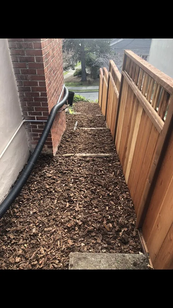 Slide of Cesar Home repair