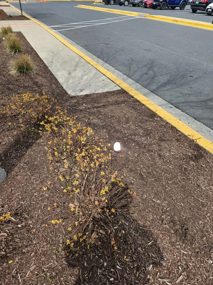 Slide of CGA Electric