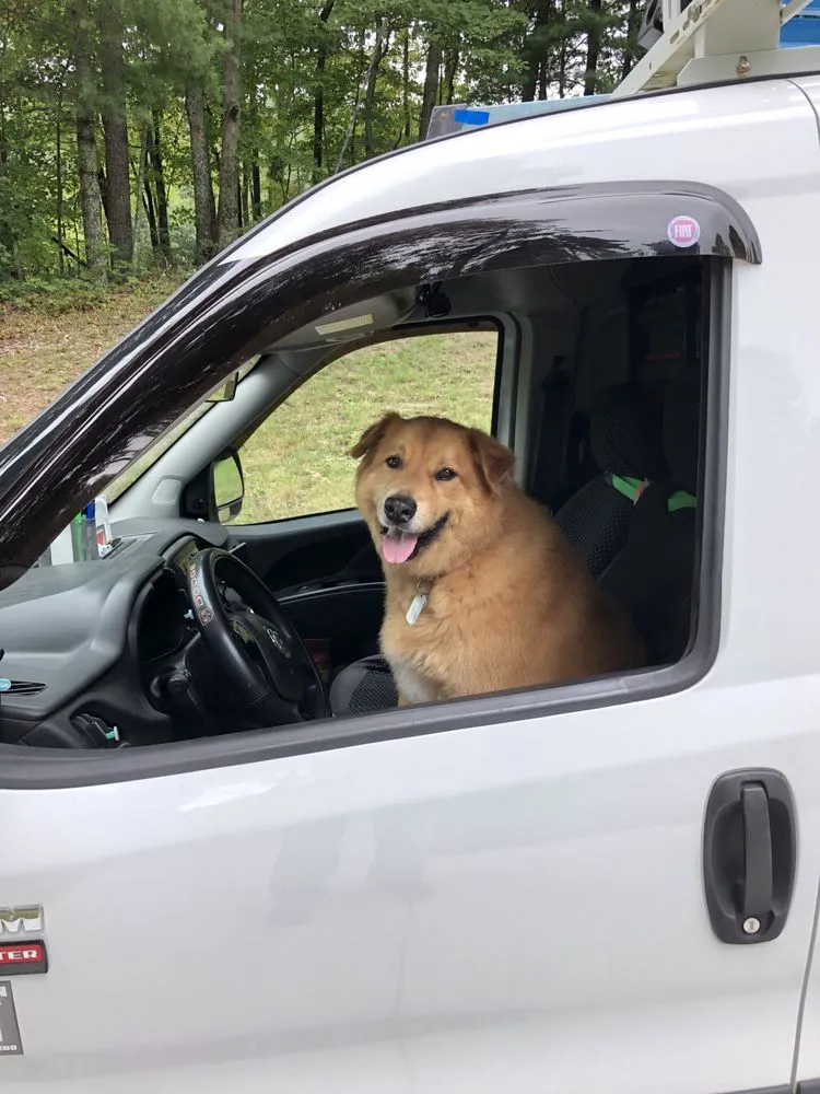 Professional electrician providing electrical repair in , 