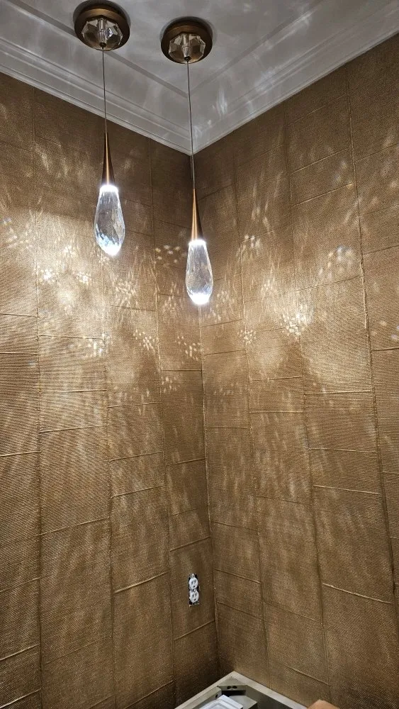 Slide of Chameleon Electric