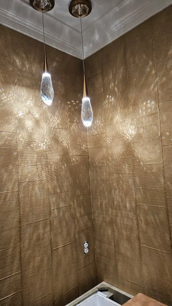 Slide of Chameleon Electric