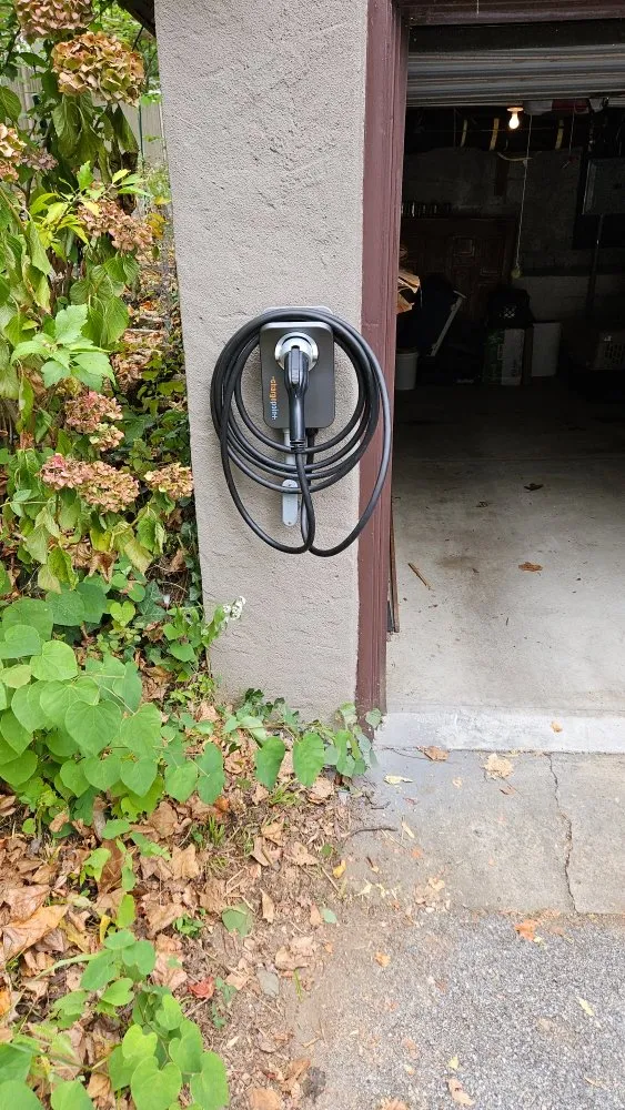 Slide of Chameleon Electric