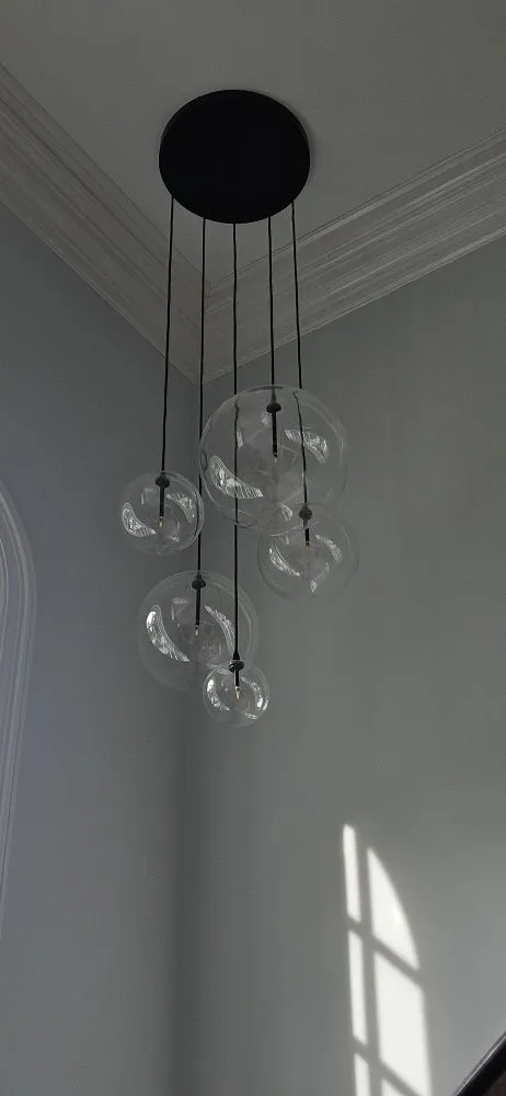 Slide of Chameleon Electric