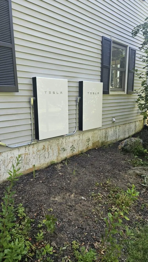 Slide of Chameleon Electric