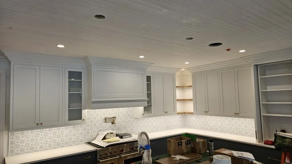 Slide of Chameleon Electric