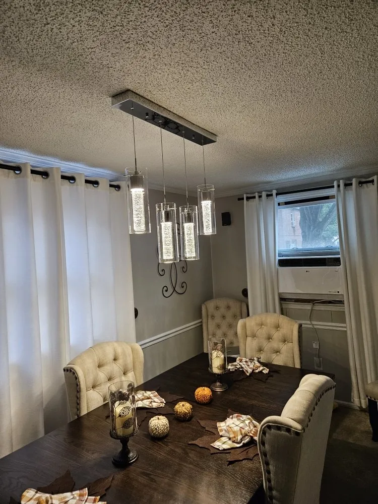 Slide of Chameleon Electric