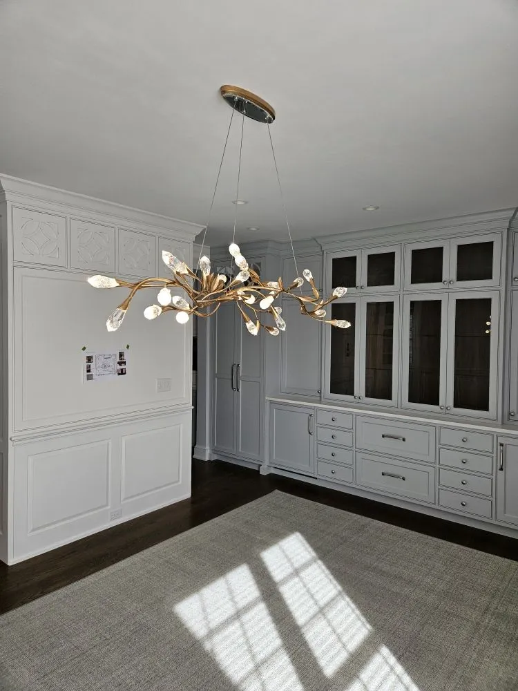 Slide of Chameleon Electric