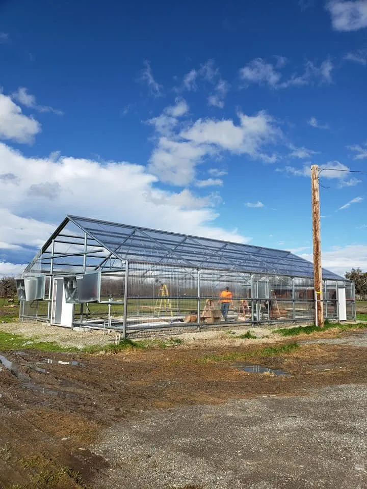 Expert wiring installation in , by Chaney & Miller Construction