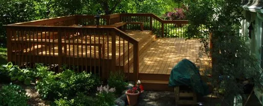 Changing Life & Environment Logo