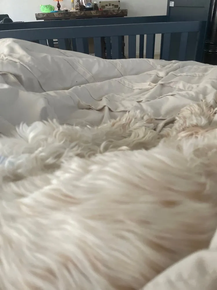 Slide of Charles Young