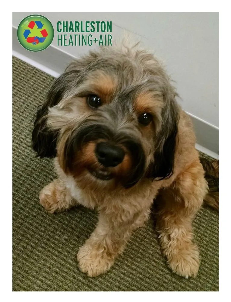 Affordable emergency electrical service service in ,  - Charleston Heating and Air