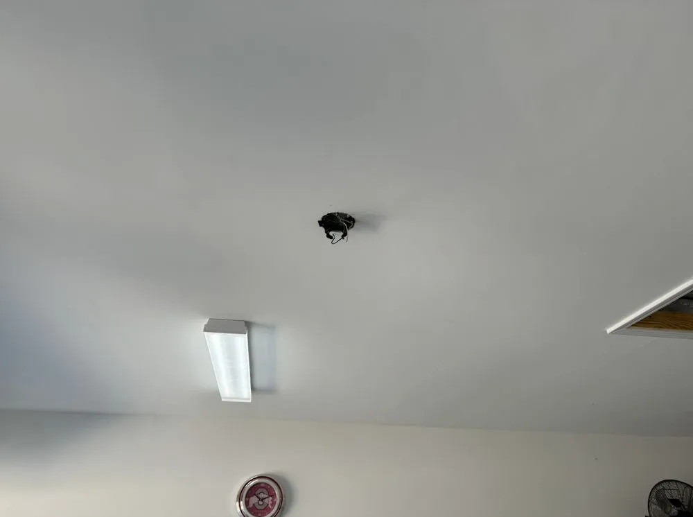 Slide of Charleston's Workaholics