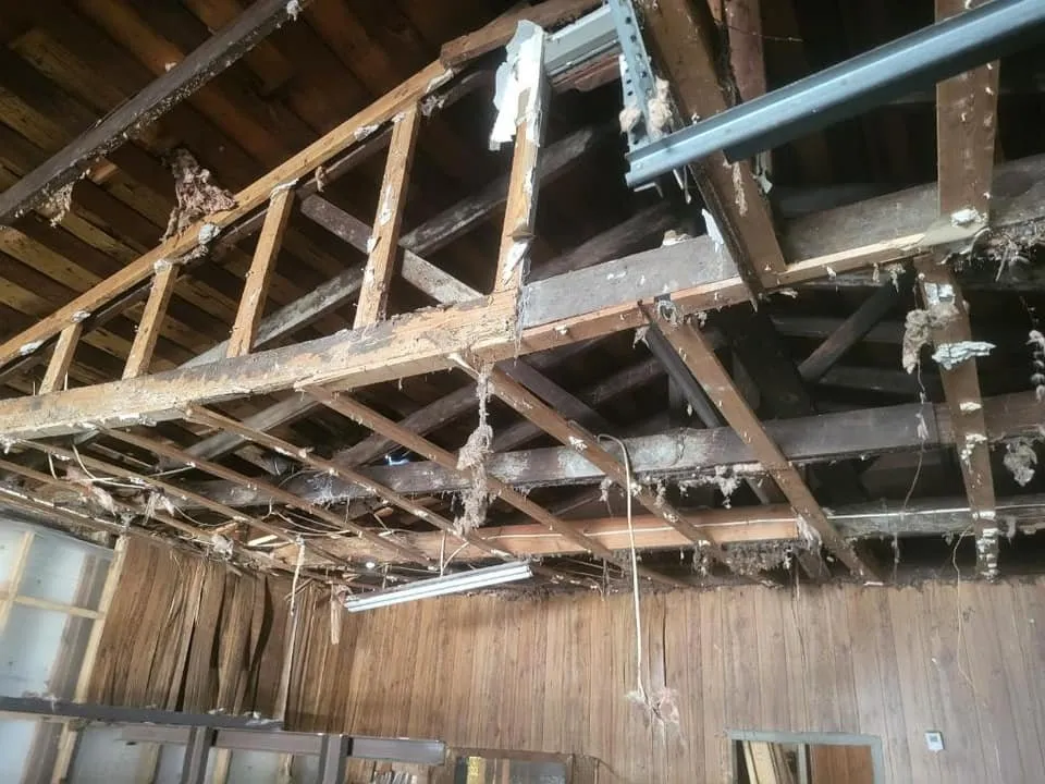 Licensed electrical repair service in ,  - Charleston's Workaholics