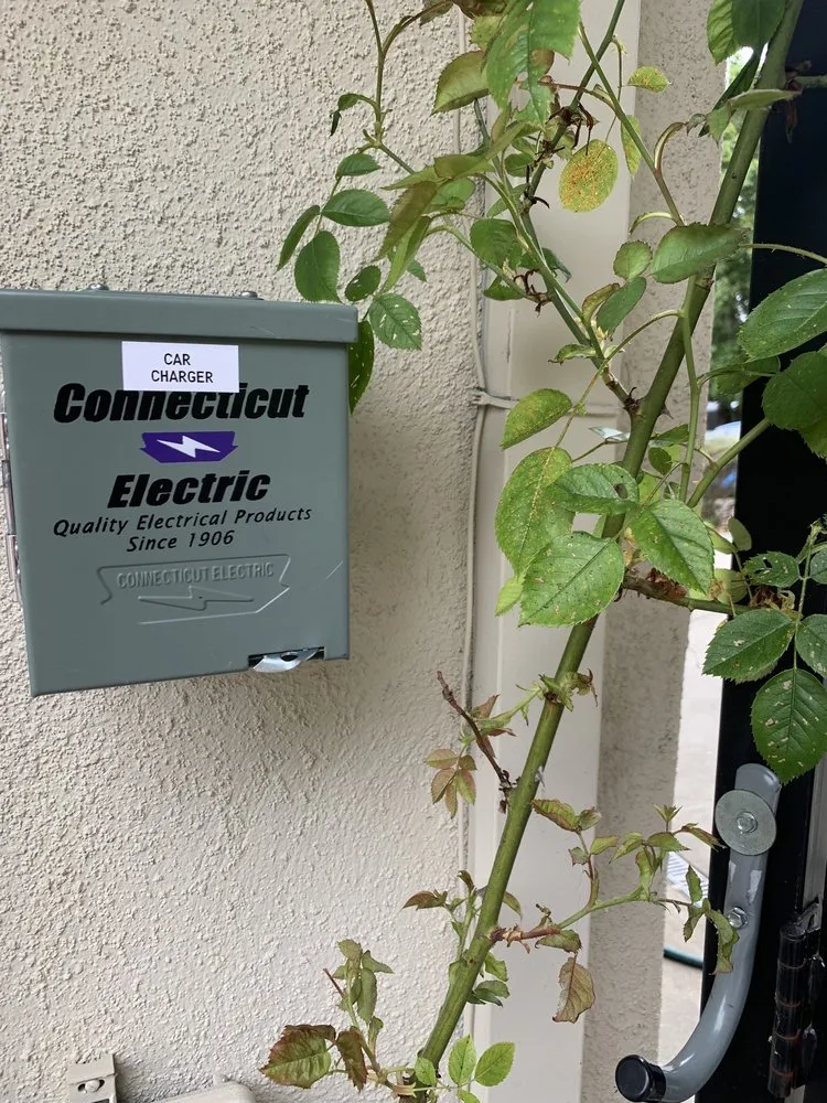 Slide of Chavarria’s Electric