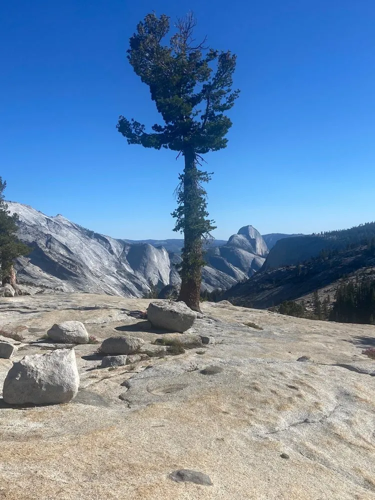 Slide of Chavez Energy Electrical Services