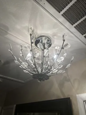 Chavez Professional Electrical Logo