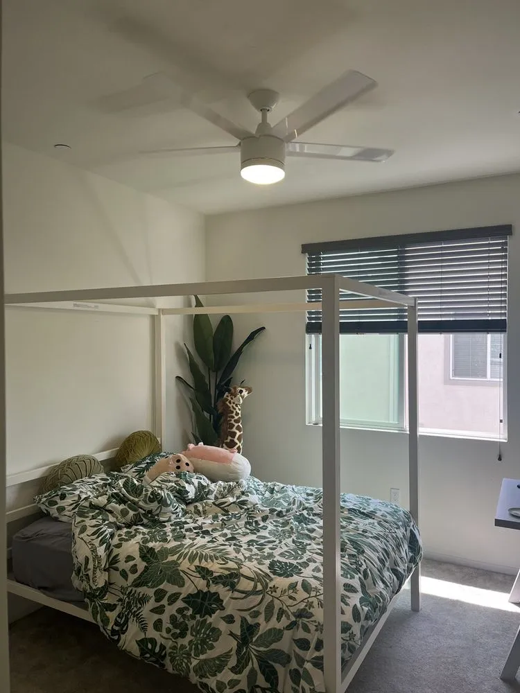 Slide of Checo Electric