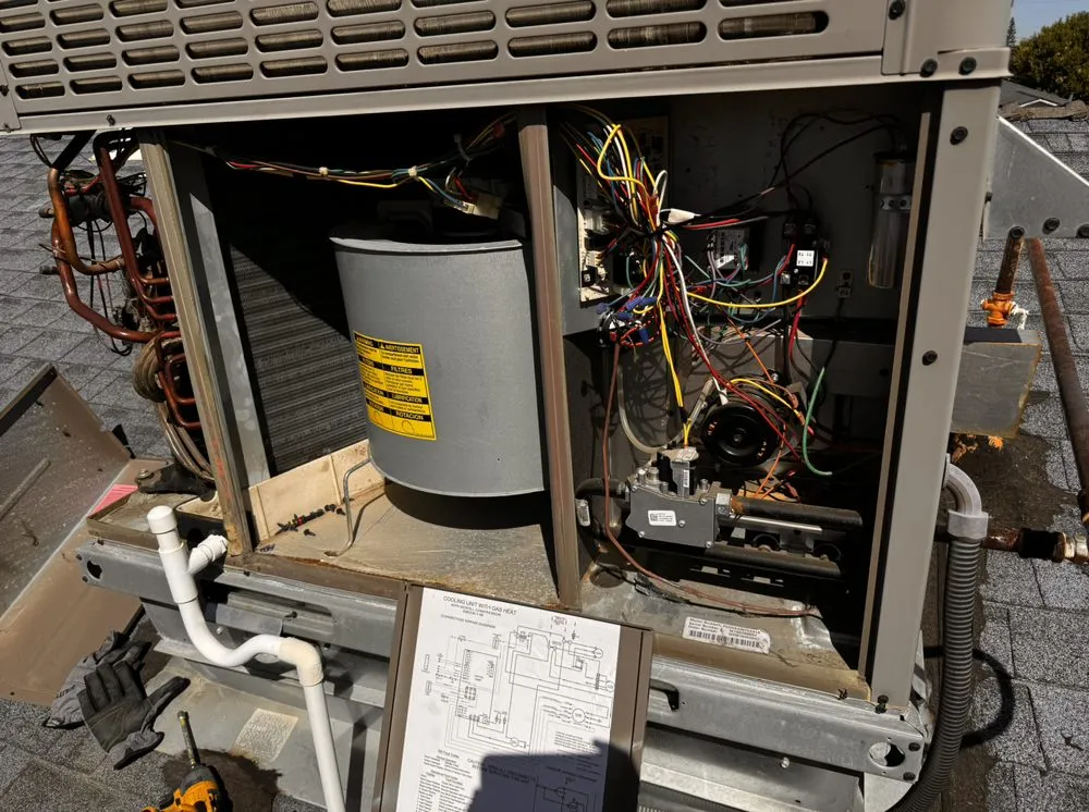 Slide of Chen Pro Electric