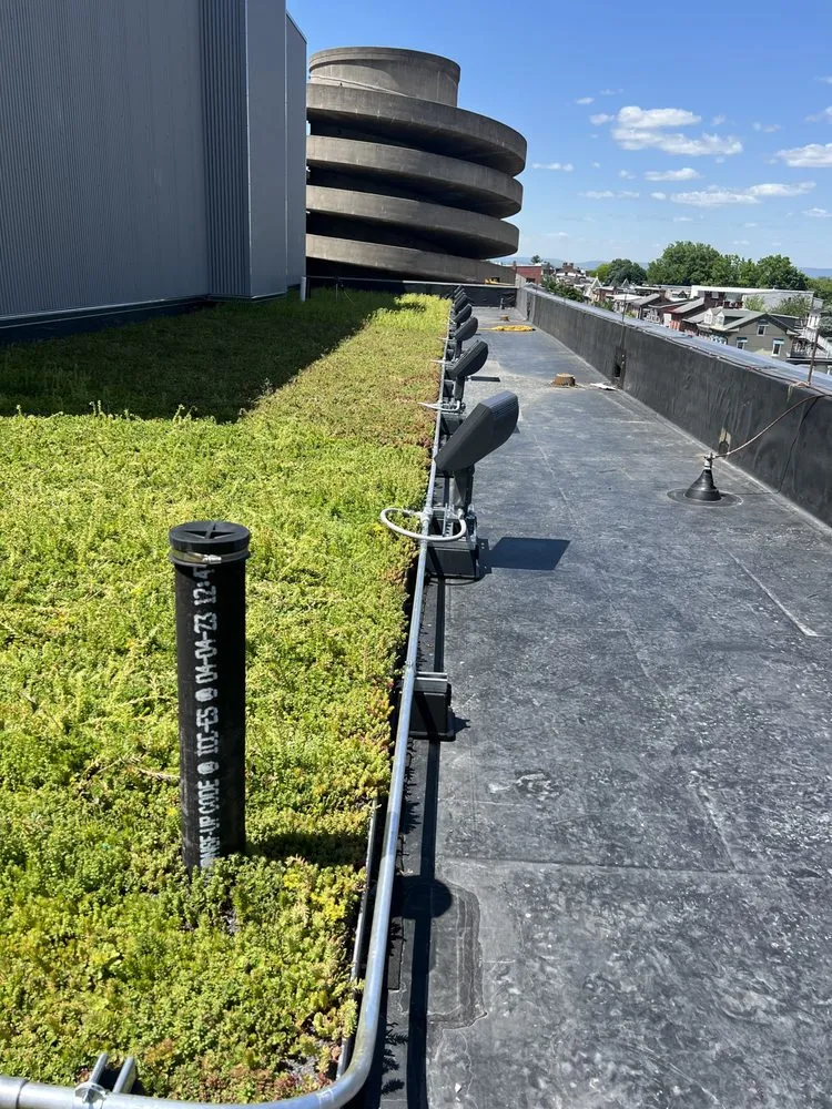 Slide of Cherry Electric