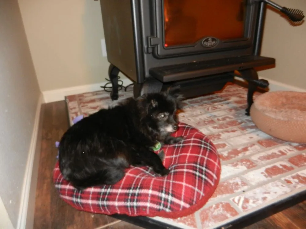 Slide of Chilson Electric