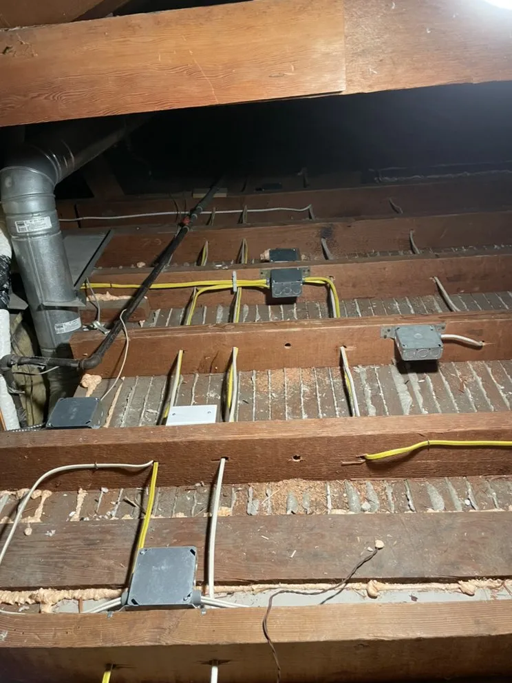 Slide of Chinchilla Electric