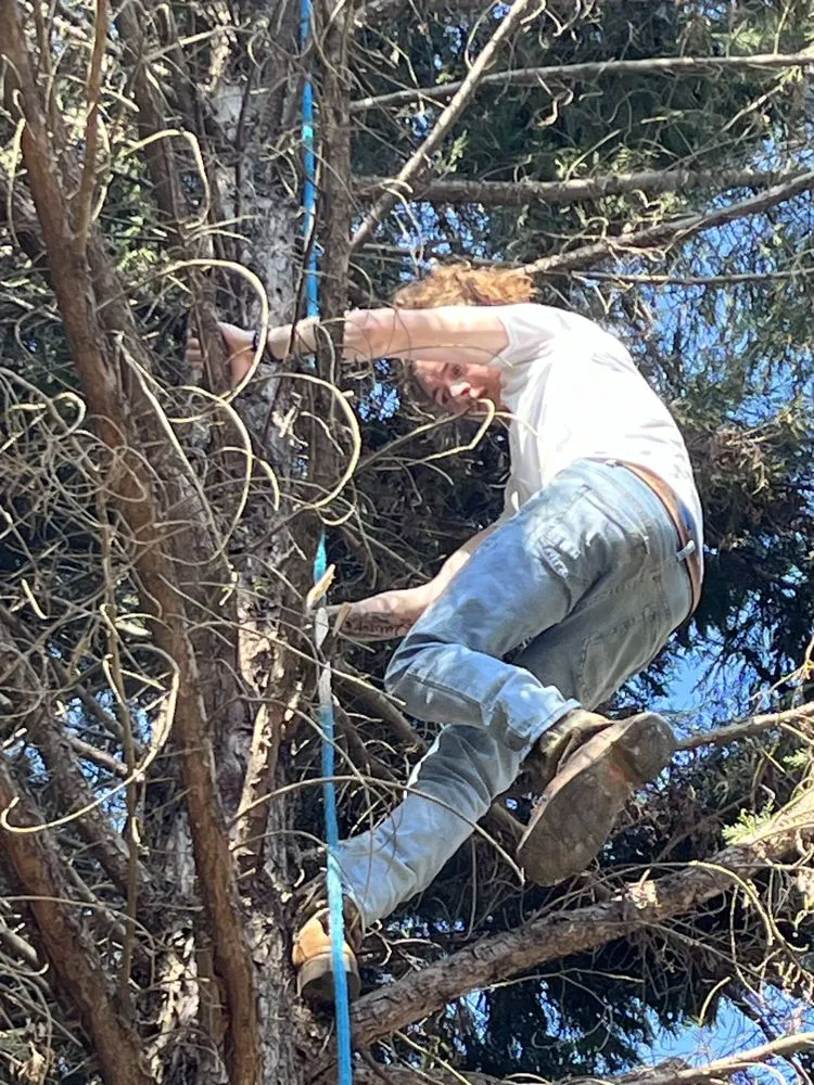 Expert lighting installation in ,  by Chris and Son's Handyman Services