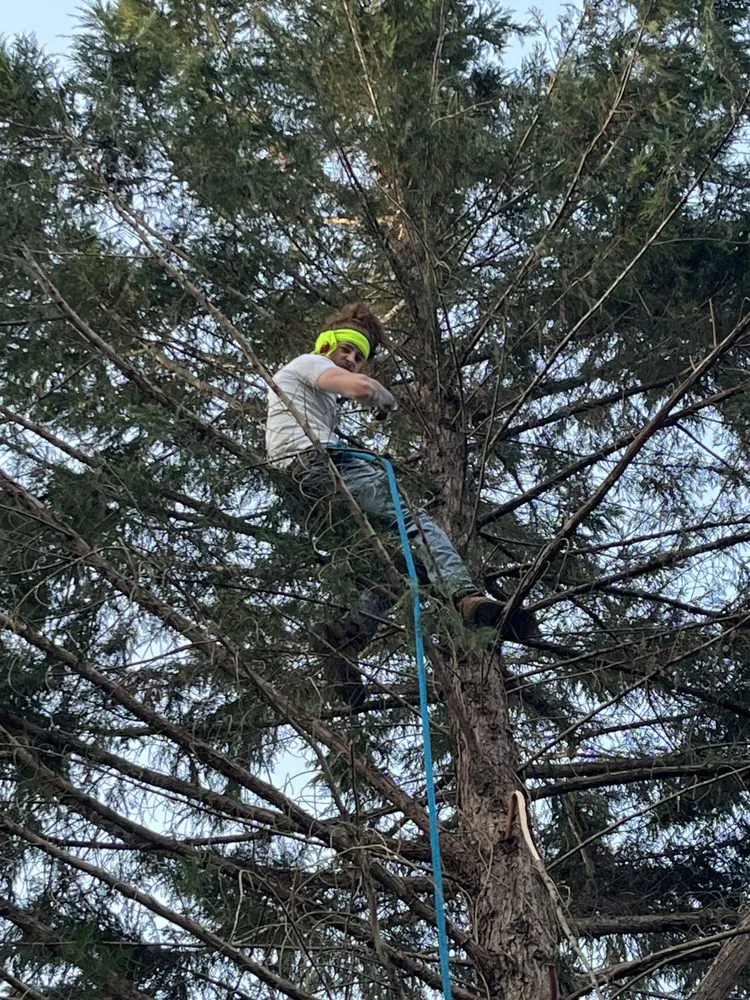 Expert electrician providing electrical repair in , 