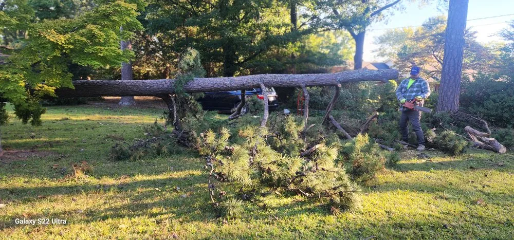 Certified lighting installation experts serving ,  - Chris and Son's Handyman Services