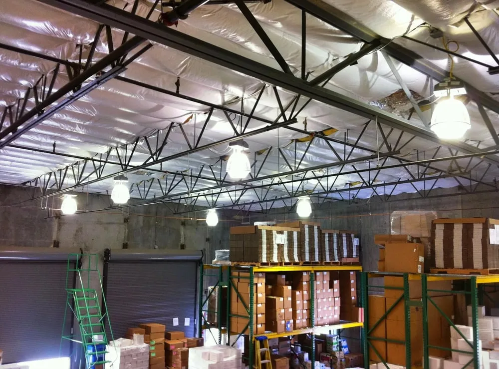 Slide of Chris Caisse Electric