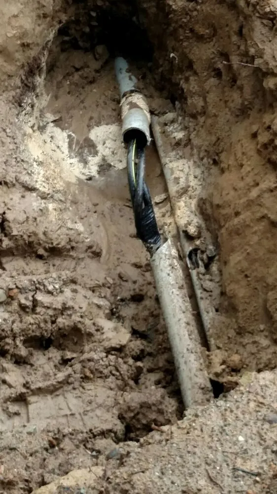 Slide of Chris Electric