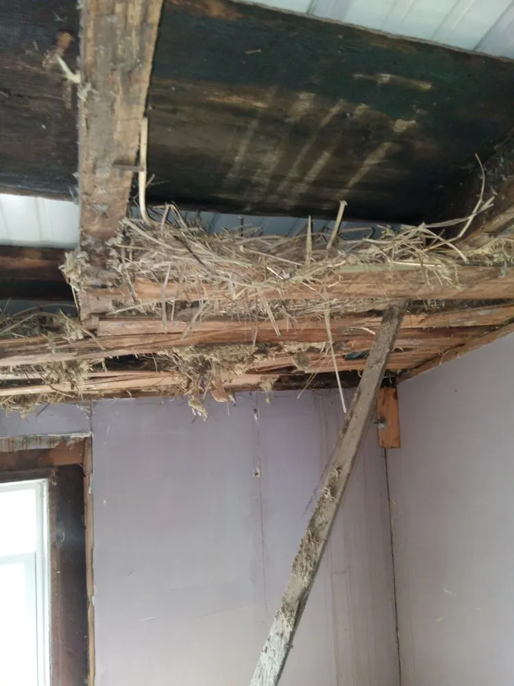 Expert wiring installation experts serving Middleburg, KY - Chris Hatter Construction