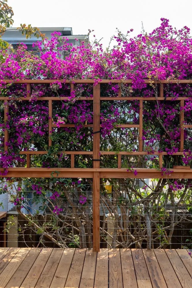 Emergency wiring installation experts serving ,  - Christopher Stoehr Construction