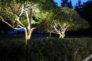 Slide of Chuck's Electric