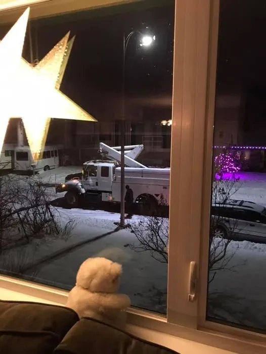 Slide of Chugach Electric Association