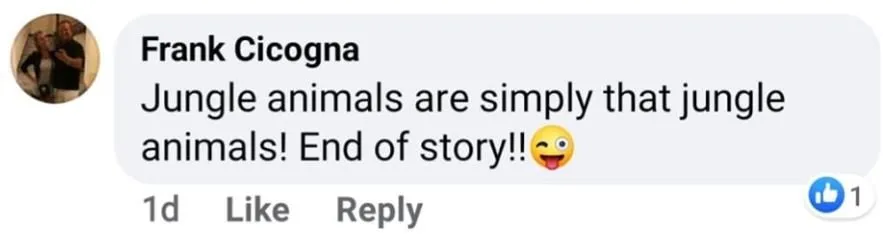 Slide of Cicogna Electric & Sign Company