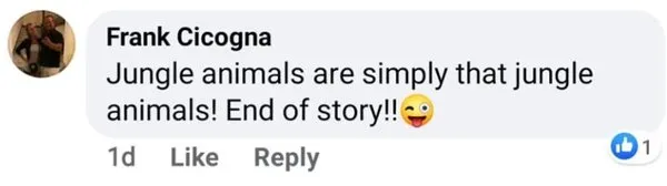 Cicogna Electric & Sign Company