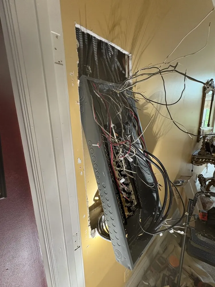Professional panel upgrade service in ,  - Circuit Pros