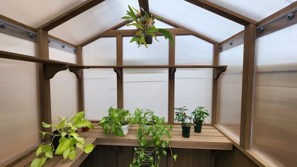 Slide of Cisco The Handyman