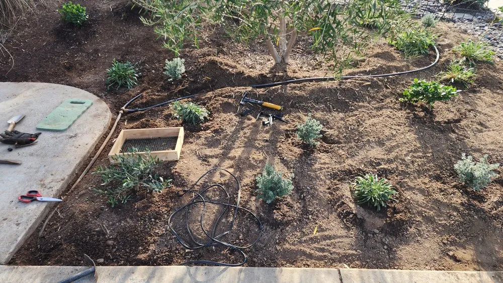 Slide of Cisco The Handyman