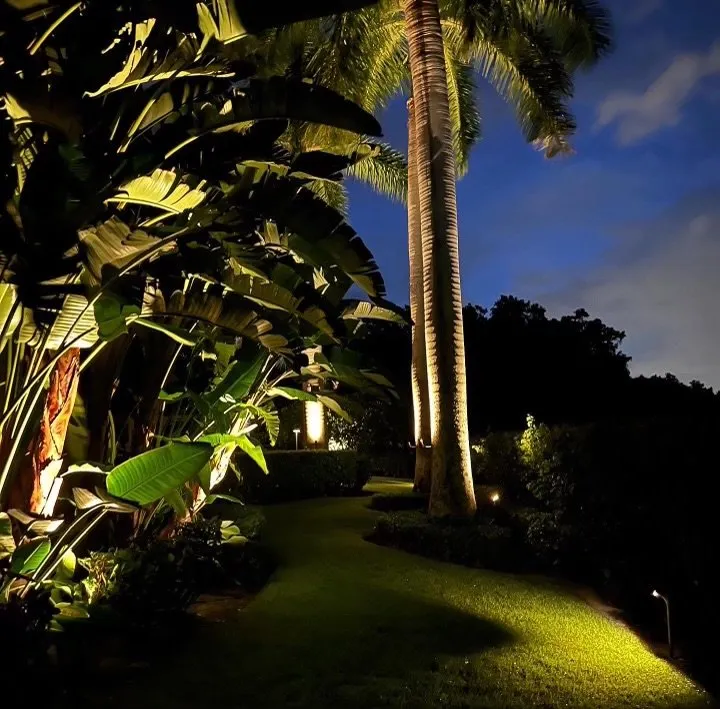 Slide of CITE Solutions