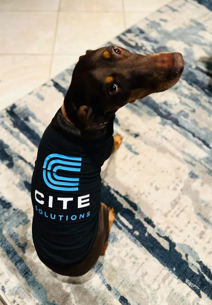 Slide of CITE Solutions