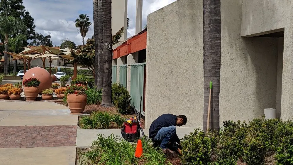 Slide of Citrus Electric