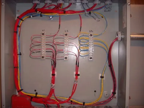 Slide of Citrus Electric